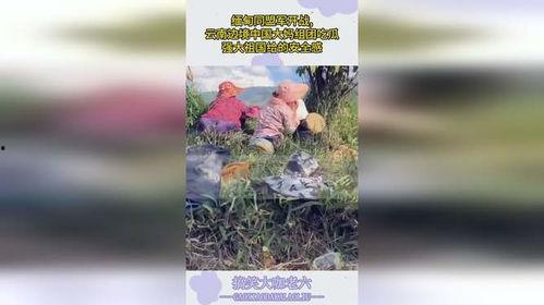 云南大妈吃瓜神曲,一曲传唱，揭秘民间欢乐生活