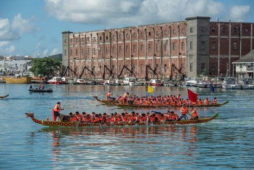 今日头条新闻稻田,农业创新引领乡村振兴