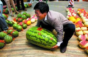 贵阳国际城吃瓜比赛,一场别开生面的吃瓜盛宴