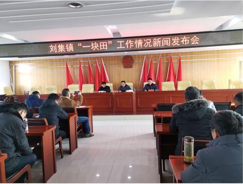 沐阳区刘集镇新闻头条,聚焦乡村振兴，共绘美好家园新画卷