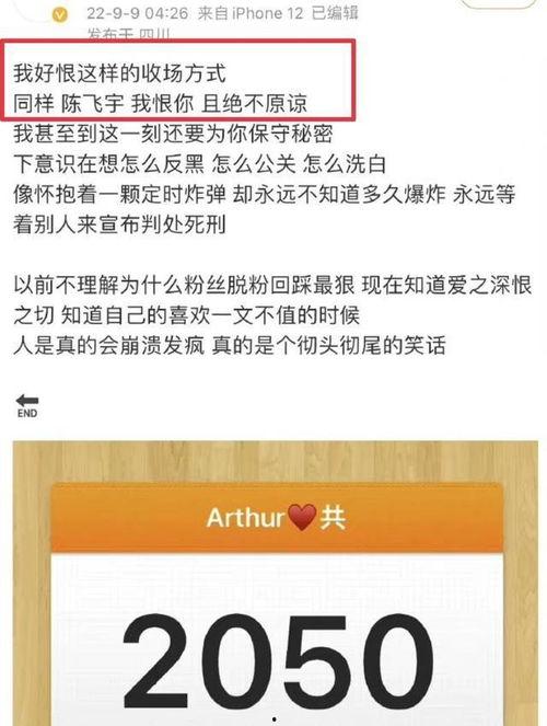 陈飞爆料视频大全下载最新,揭秘幕后真相，最新动态全收录