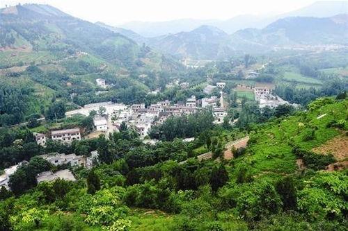 网红杨沟沟,网红背后的故事与影响力