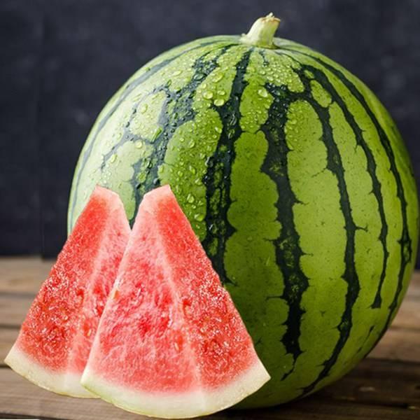 七冉内部吃瓜视频