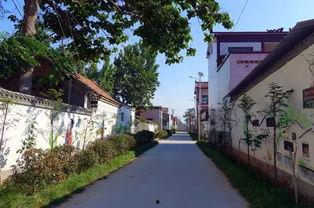 开封头条西姜寨乡,探寻历史足迹，感受乡村新貌