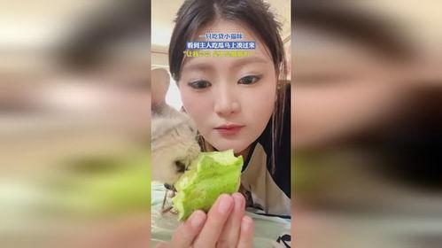 小徐不许吃瓜,拒绝诱惑，不吃瓜