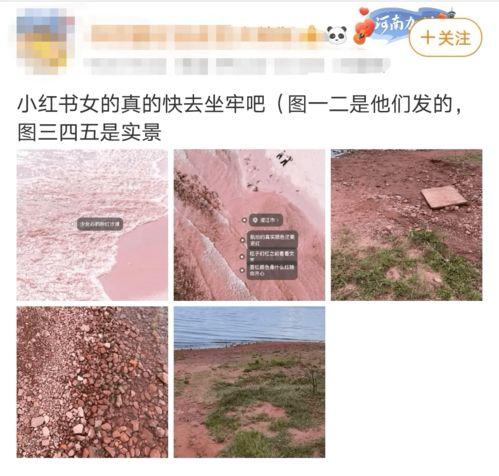 网红诈骗评论怎么写,评论中的警示与反思