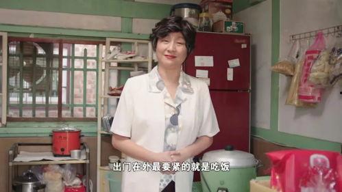 最新社网红,最新社会热点事件深度解析”