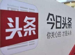 今日头条不同版本,全新功能解锁，用户体验再升级