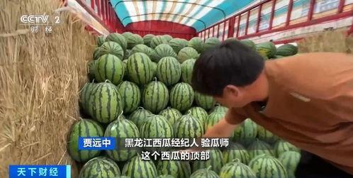 大师吃瓜,揭秘娱乐圈幕后风云