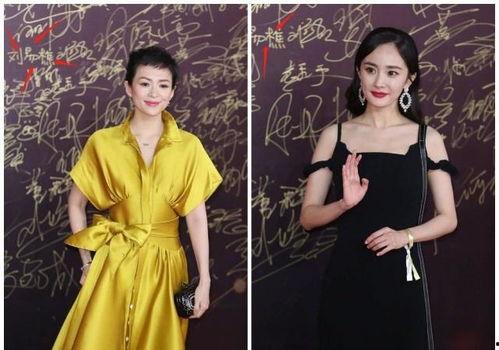 身高对比 明星,身高对比下的明星世界