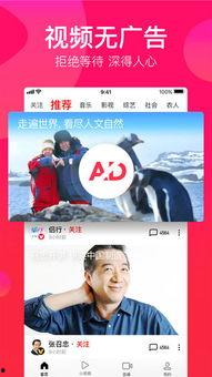 西瓜视频爆料库官网,揭秘热门视频幕后故事，带你走进内容创作世界