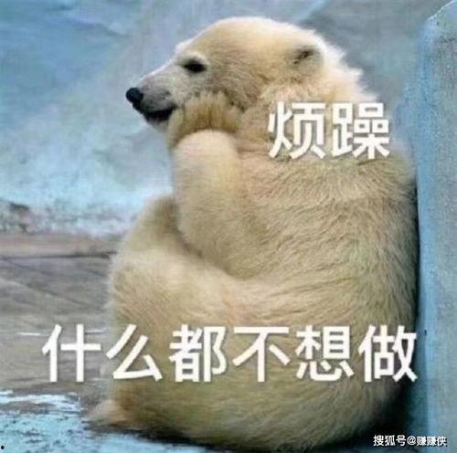 我不再吃瓜的图片,我不再吃瓜的全新生活篇章