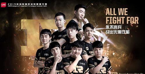 卖串的大哥爆料视频,卖串大哥爆料背后的秘密