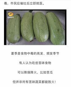 155吃瓜网怎么进,轻松进入瓜界新天地