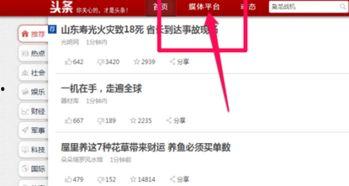 今日头条审核工具下载