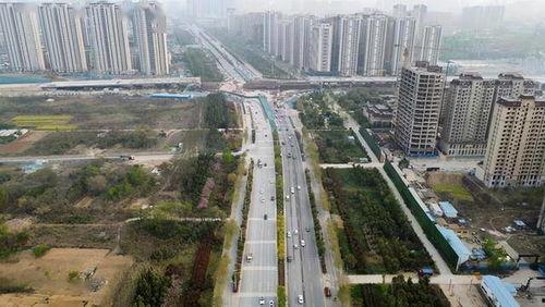 郑州南龙湖街道新闻头条,聚焦发展新动态，共绘美好未来画卷