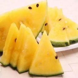 带你吃瓜卖货,畅享购物乐趣