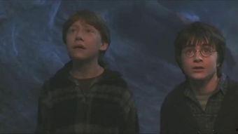 在线观看血,在线观看血型与生命之源